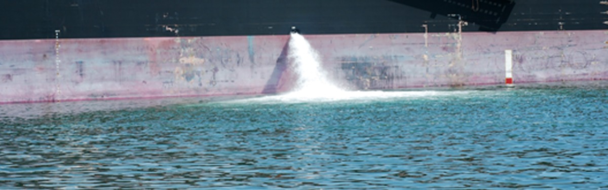 Addressing invasive species in ships’ ballast water - treaty amendments enter into force